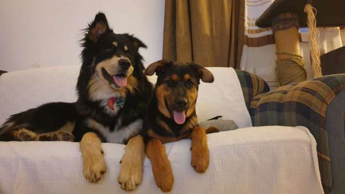 PUBERTÄT?-Beitrag-Bild