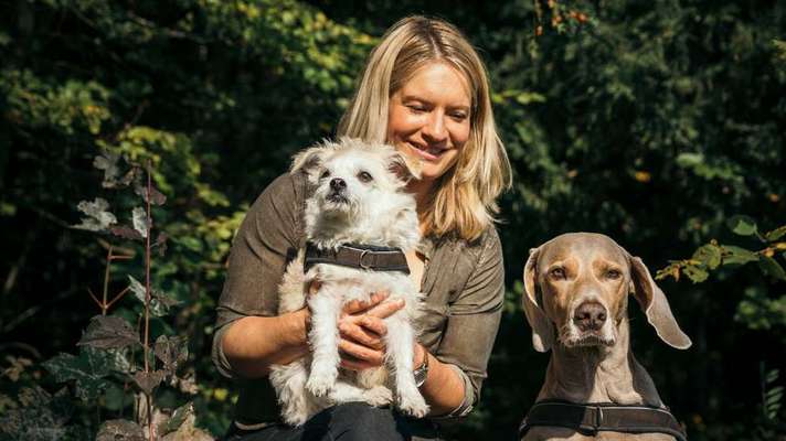 Hundeschulen-Hundeschule animalcoach.ch Zürich-Bild