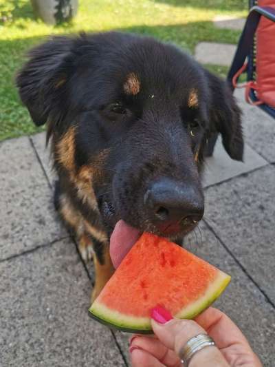 Lieblingsbild-Beitrag-Bild