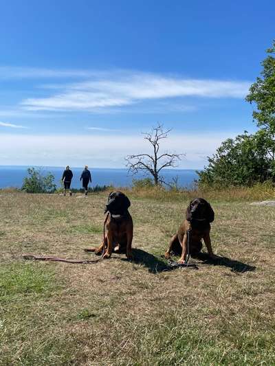 118. Fotochallange-Beitrag-Bild