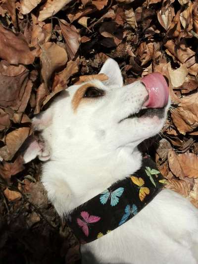 Her mit dem Grimassen-Beitrag-Bild