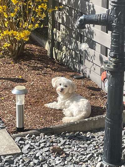 Farben Fotochallenge Sonnenlicht-Beitrag-Bild