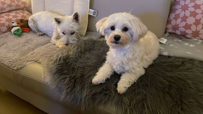 Doppelgänger gesucht !-Beitrag-Bild