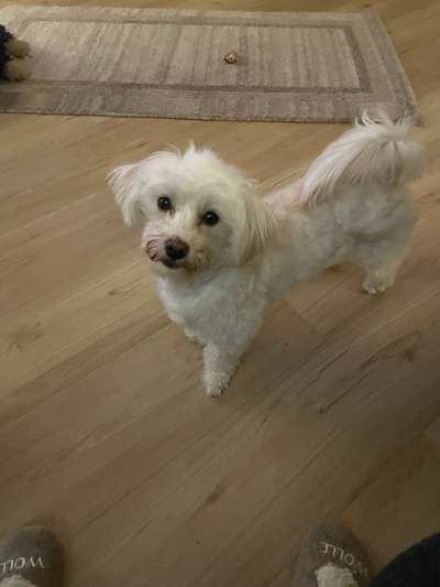 Doppelgänger gesucht !-Beitrag-Bild