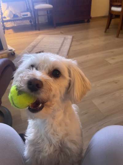 26. Collagen Challenge- Zeigt her eure Zähne-Beitrag-Bild