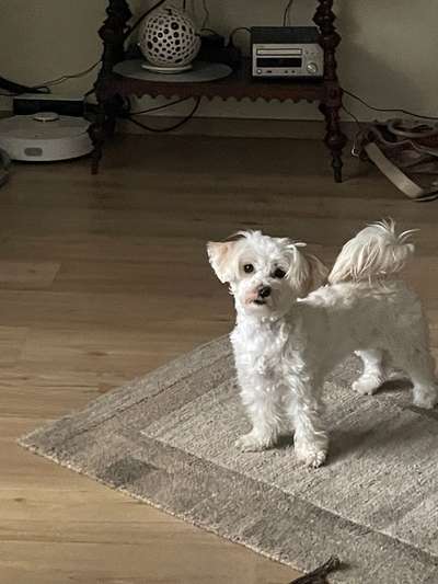 120. Fotochallenge-Beitrag-Bild