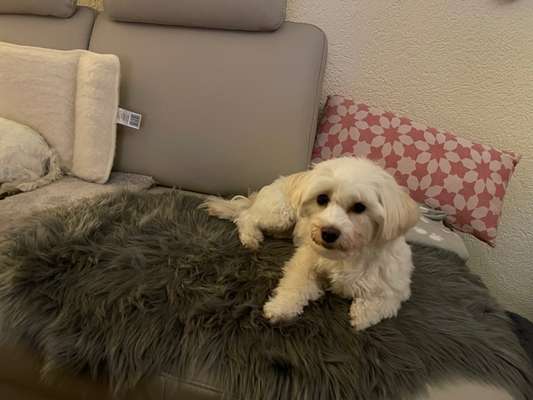 Doppelgänger gesucht !-Beitrag-Bild