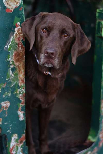 Fotowettbewerb Natur-Beitrag-Bild