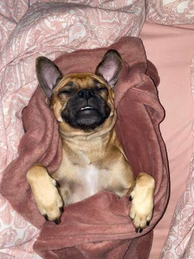 Die unbequemsten und lustigsten Schlafpositionen-Beitrag-Bild