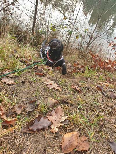 Challenge Nr. 10: "Das schönste Lächeln"-Beitrag-Bild