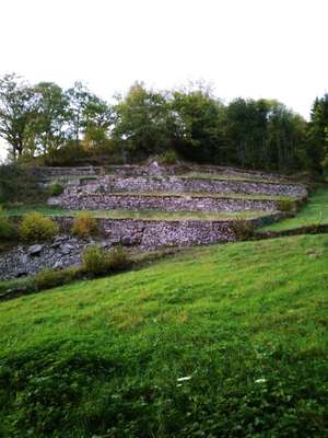 Hundeauslaufgebiet-Grillhütte-Bild