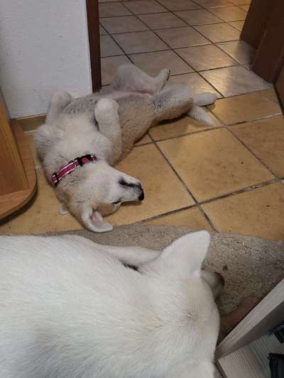 FOTO-Challenge  NR. 91: Die pure Entspannung-Beitrag-Bild