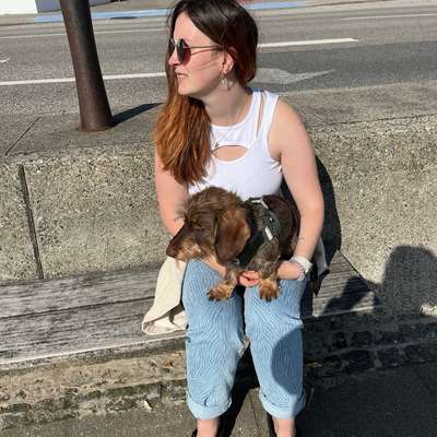 Hundetreffen-Gassi gehen