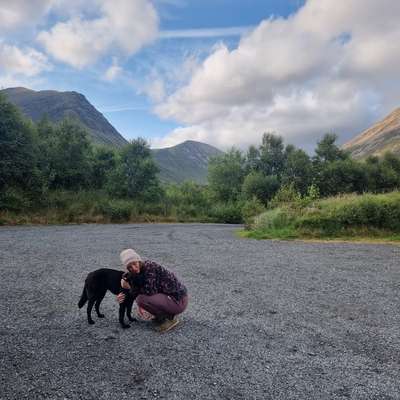 Hundetreffen-Suche nach Gassi-, Trainier- und Spielfreunden für Molly-Bild