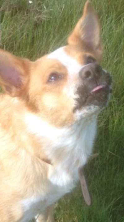 Lieblingsbild :D-Beitrag-Bild