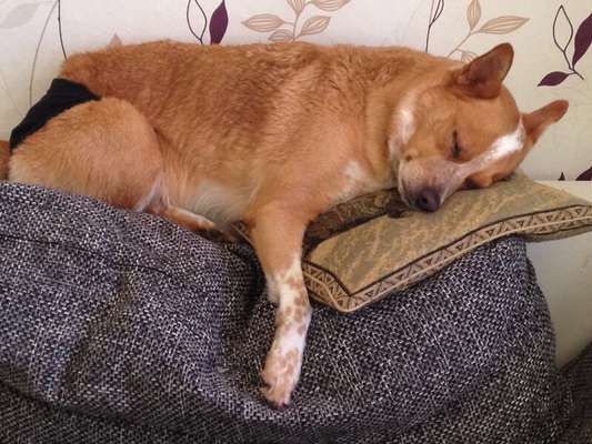 Lieblingsbild :D-Beitrag-Bild