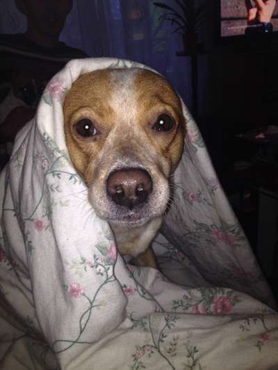 Die unbequemsten und lustigsten Schlafpositionen-Beitrag-Bild