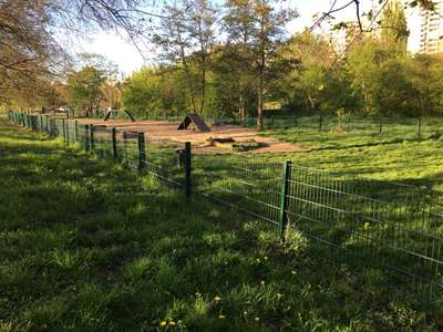 Hundeauslaufgebiet-Am Seggeluchbecken-Bild