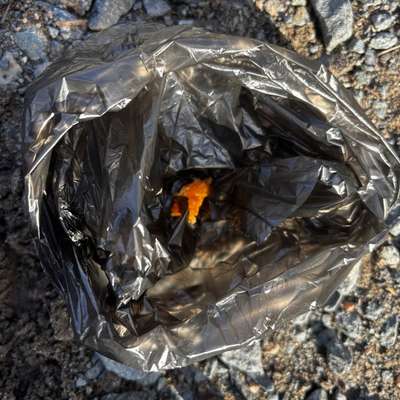 Giftköder-Gift Köder-Bild