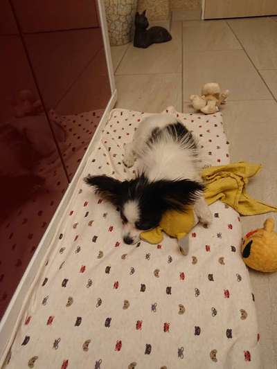 Fotochallenge Nr. 67: Euer Lieblingsbild-Beitrag-Bild