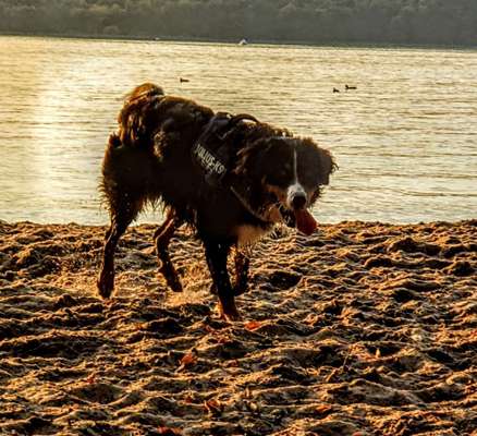 Postet eure schönsten Bilder von Spaziergängen in 2020!-Beitrag-Bild