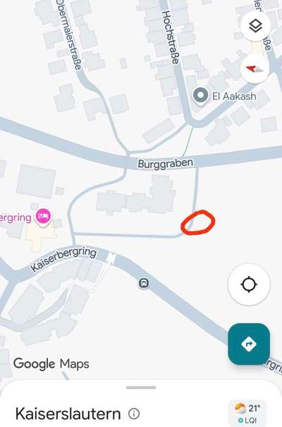 Giftköder-Eichenprozessionsspinner-Bild