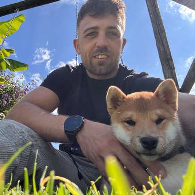 Hundetreffen-Welpentreffen nähe Hochdorf