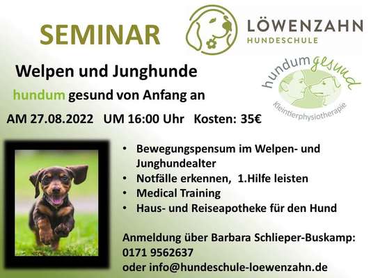 Hundetreffen-Workshop für Welpen/Junghunde-Bild