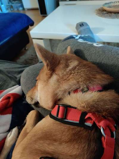 Die unbequemsten und lustigsten Schlafpositionen-Beitrag-Bild