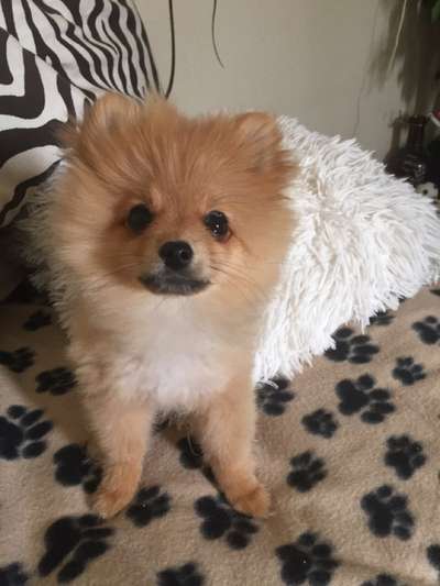 Ungewollte Streicheleinheiten etc.-Beitrag-Bild