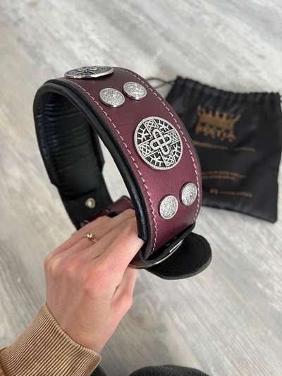 Hunde Halsband-Beitrag-Bild