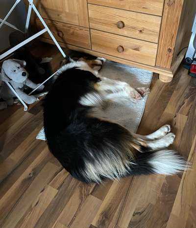 Schlafzeit!💖-Beitrag-Bild