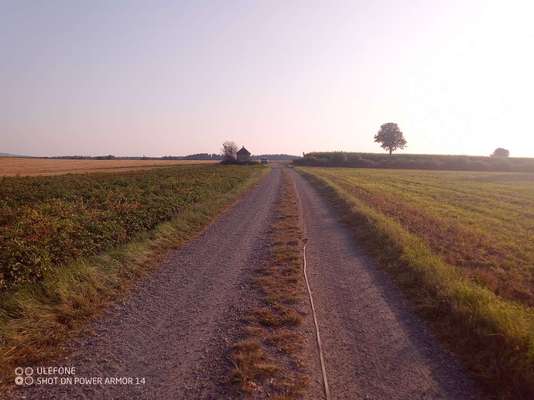 Hundeauslaufgebiet-Feldwege um Eiglasdorf und Pleisdorf-Bild