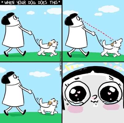 Hier ist der Spaßthread. Zum Schmunzeln und Kaputtlachen-Beitrag-Bild