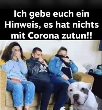 Hier ist der Spaßthread. Zum Schmunzeln und Kaputtlachen-Beitrag-Bild