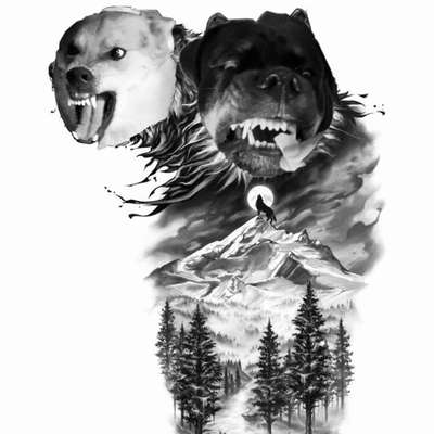 Photomontagen mit Hund-Beitrag-Bild