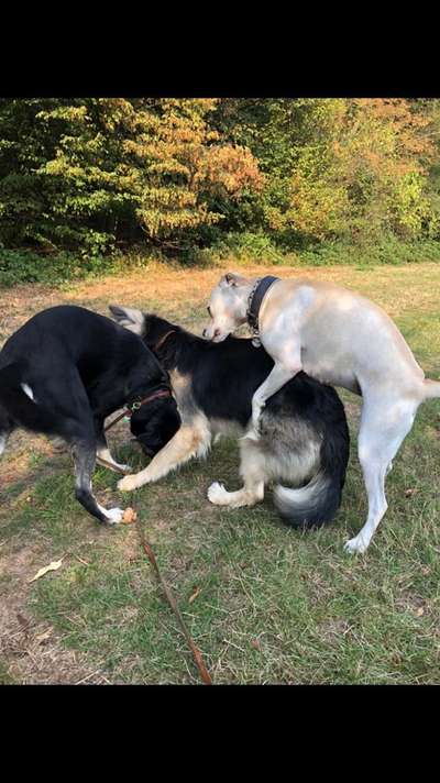 Hier ist der Spaßthread. Zum Schmunzeln und Kaputtlachen-Beitrag-Bild