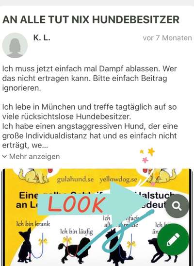 Suchfunktion bei Dogorama-Beitrag-Bild