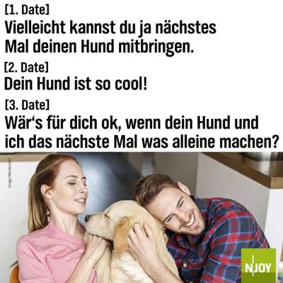 Hunde Memes-Beitrag-Bild