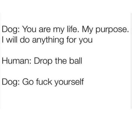 Hier ist der Spaßthread. Zum Schmunzeln und Kaputtlachen-Beitrag-Bild