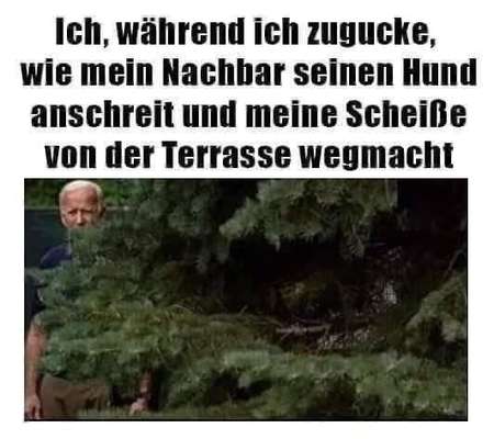 Hunde Memes-Beitrag-Bild