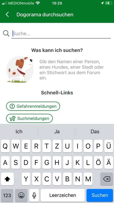 Suchfunktion bei Dogorama-Beitrag-Bild