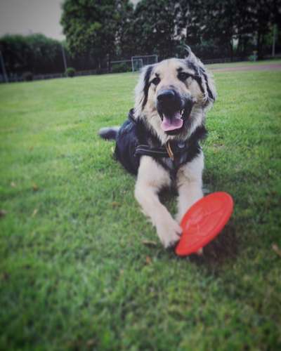 Foto Challenge die Vierte-Beitrag-Bild