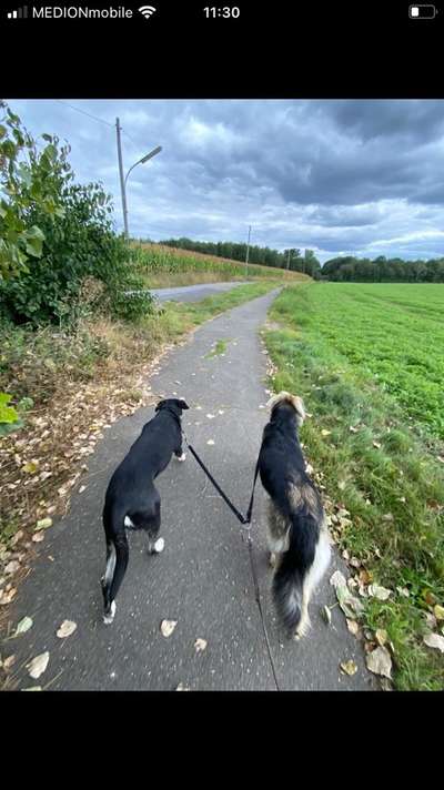 Der Gewichts-Thread-Beitrag-Bild