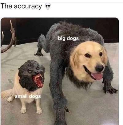 Hier ist der Spaßthread. Zum Schmunzeln und Kaputtlachen-Beitrag-Bild