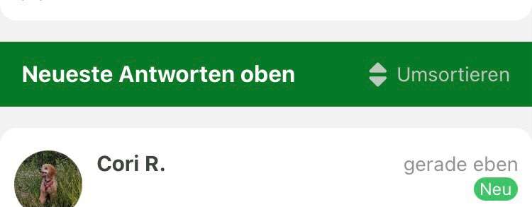 Von Ups-Würfen und der Corona Zeit-Beitrag-Bild