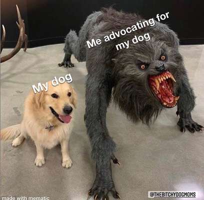 Hier ist der Spaßthread. Zum Schmunzeln und Kaputtlachen-Beitrag-Bild