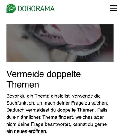 Suchfunktion bei Dogorama-Beitrag-Bild