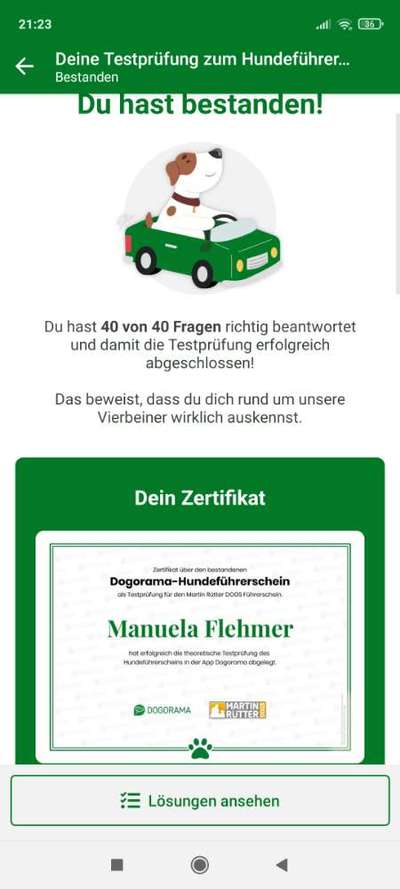 Fragen zum Dogorama-Hundeführerschein-Beitrag-Bild