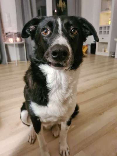 Her mit dem Grimassen-Beitrag-Bild